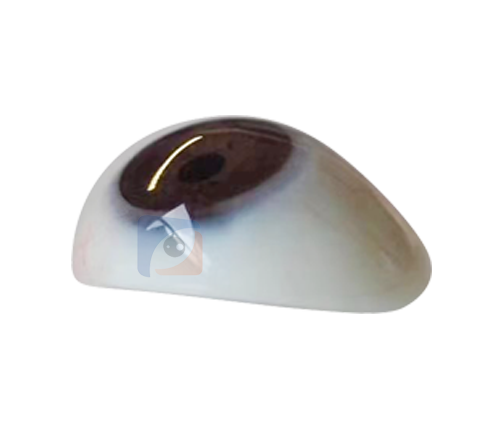 山西高分子义眼定制