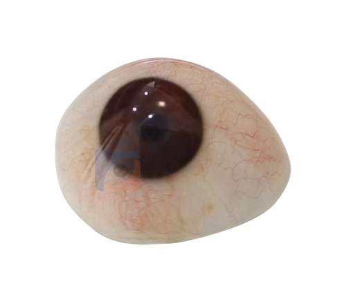 山西国产义眼定制